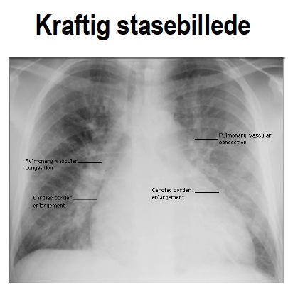 Pasted Graphic 6